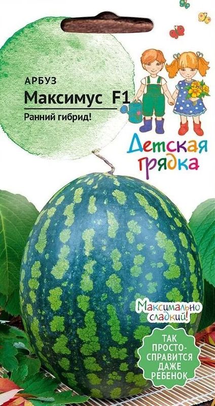 АрбузМаксимусF1