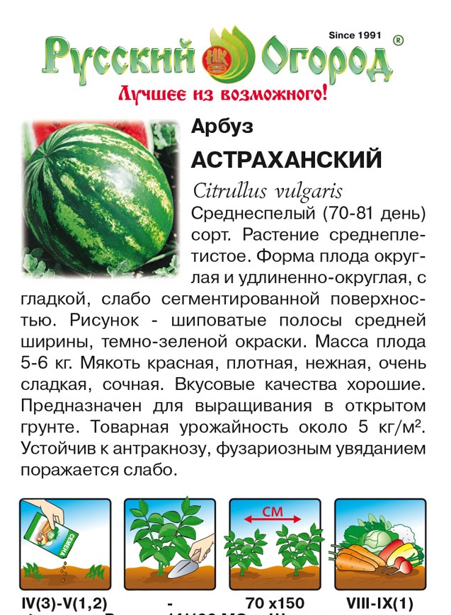 Семена Арбуз Астраханский: описание сорта, фото - купить с доставкой илипочтой России