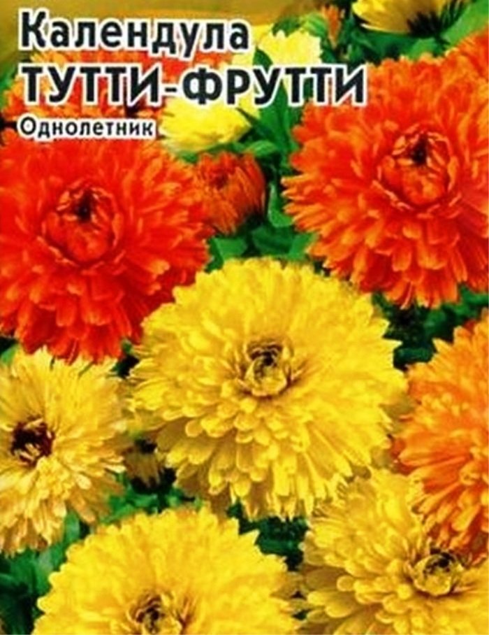 

календула тутти-фрутти, смесь семена, календула тутти-фрутти, смесь семена купить