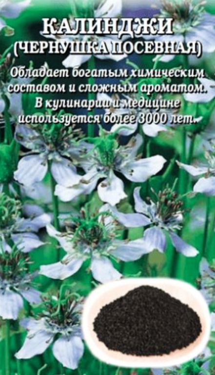 Калинджи (чернушка посевная)