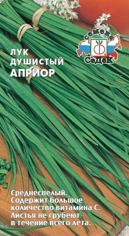 

лук душистый априор семена, лук душистый априор семена купить