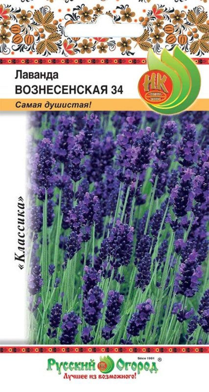 Лаванда Вознесенская 34 