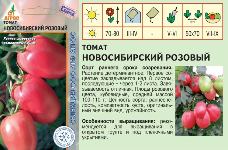 томат новосибирский розовый