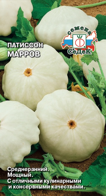 

патиссон марров семена, патиссон марров семена купить