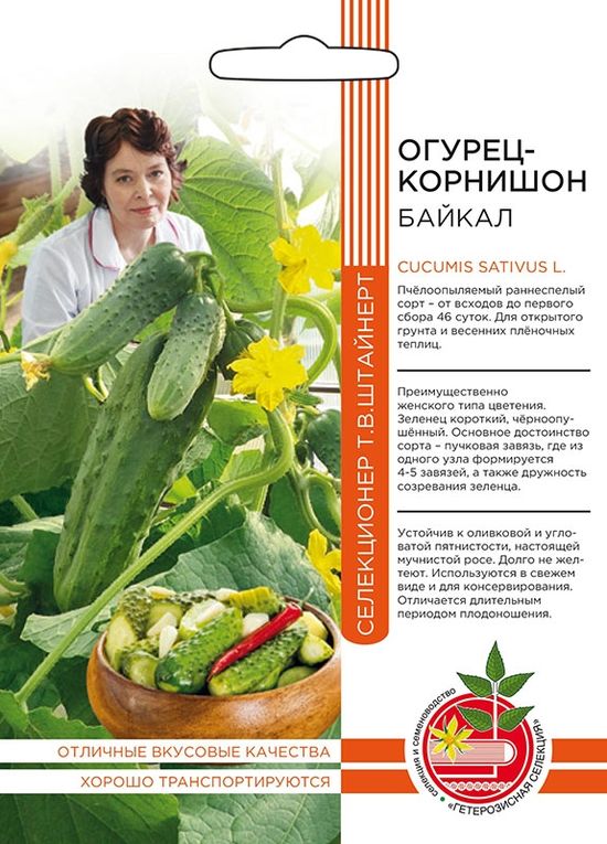 

огурец байкал корнишон семена, огурец байкал корнишон семена купить