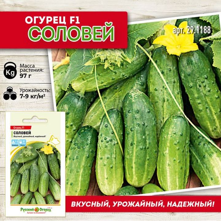 

огурец f1 соловей семена, огурец f1 соловей семена купить