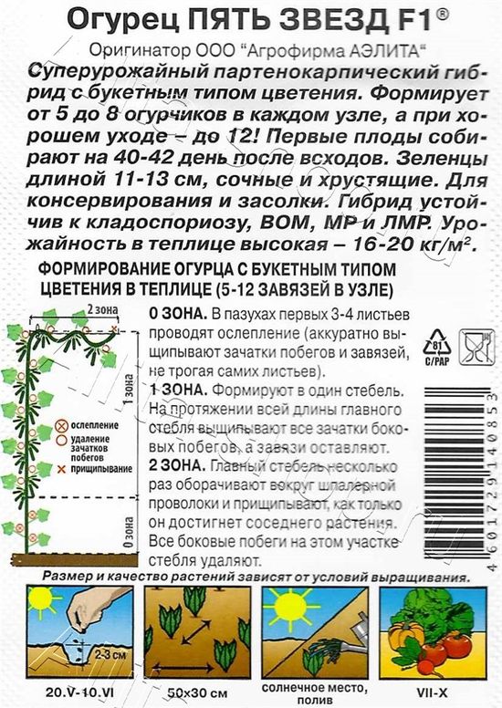 Огурцы пять звезд описание сорта фото отзывы