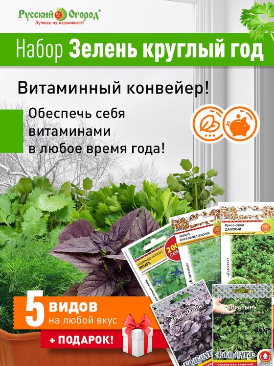 Набор Зелень круглый год