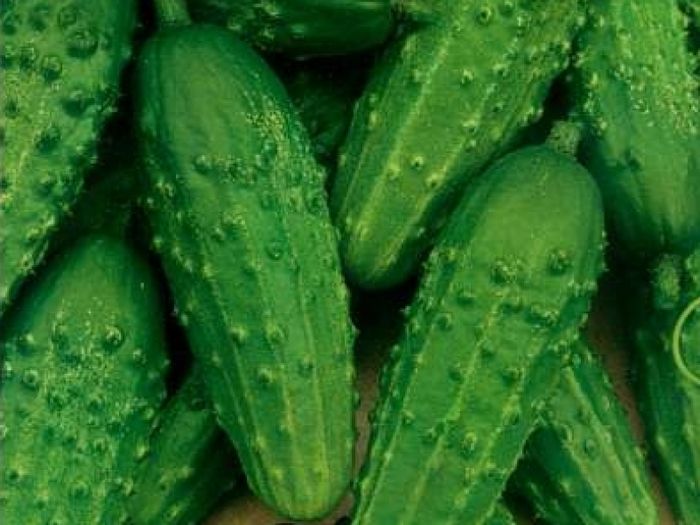 Огурец Гостинец F1  серия Русский вкус! 
