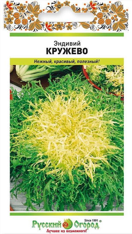 

эндивий кружево семена, эндивий кружево семена купить
