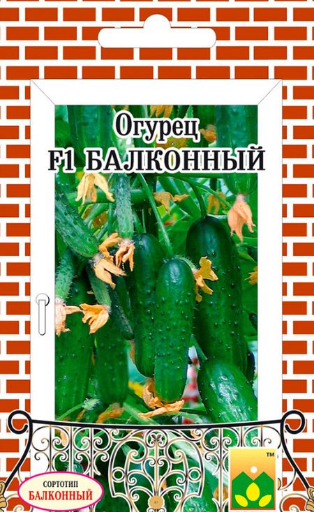 Огурец F1 Балконный