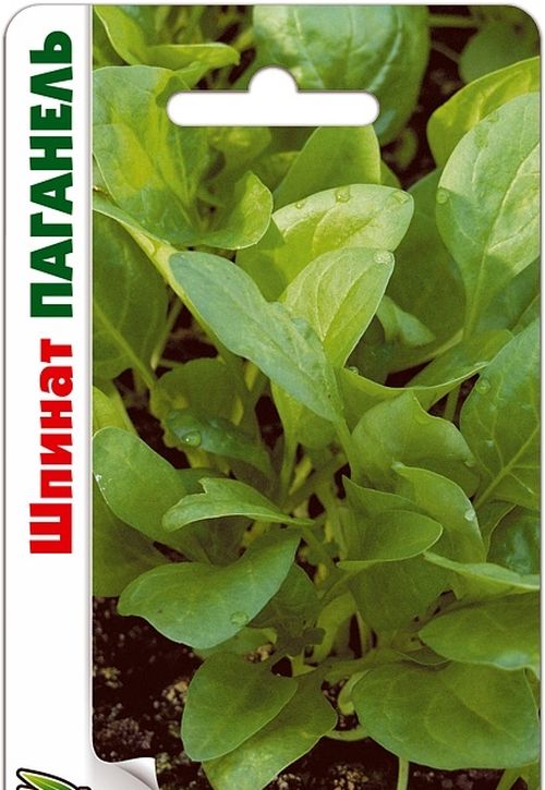 Шпинат Паганель