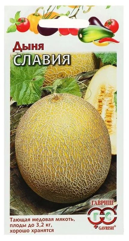 

дыня славия dh семена, дыня славия dh семена купить