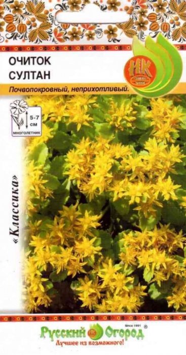 Очиток (седум) Султан: описание сорта, характеристики, посадка и уход, отзывы