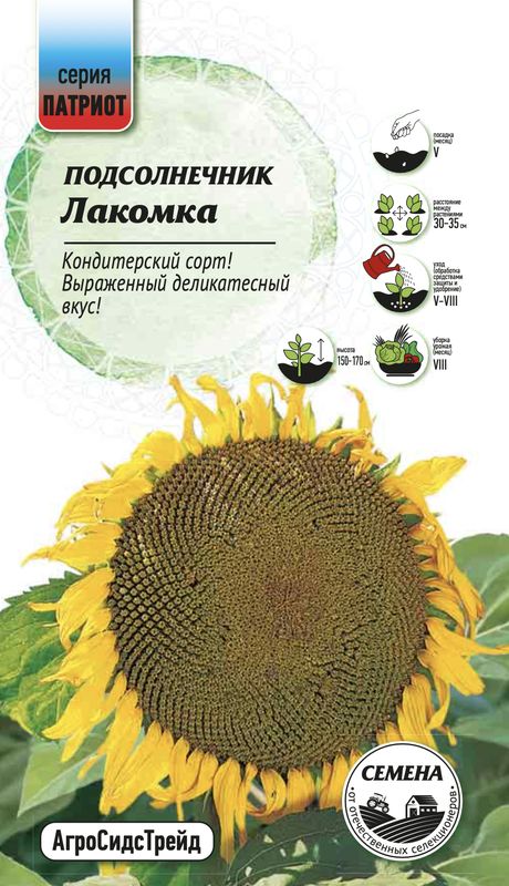 

подсолнечник лакомка семена, подсолнечник лакомка семена купить