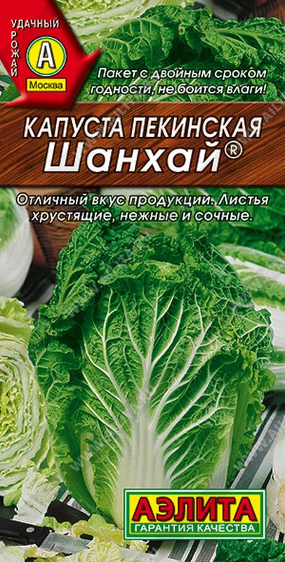 

капуста пекинская шанхай ® семена, капуста пекинская шанхай ® семена купить
