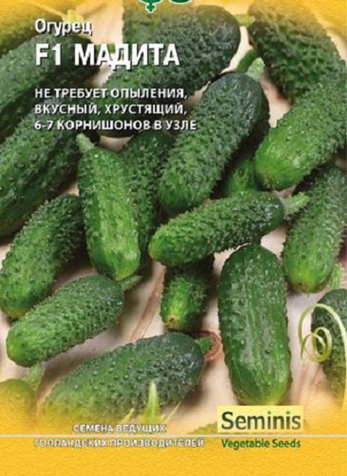 

огурец f1 мадита семена, огурец f1 мадита семена купить