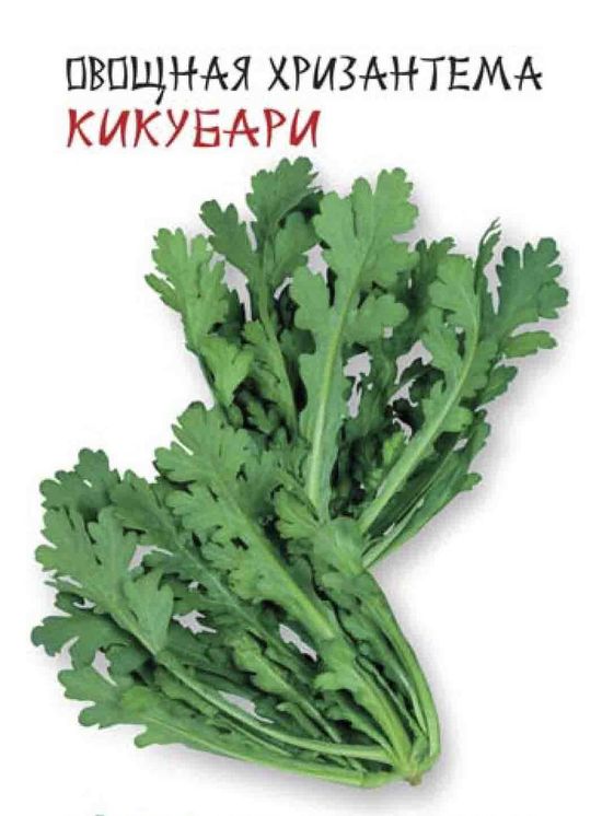 Хризантема овощная Кикубари