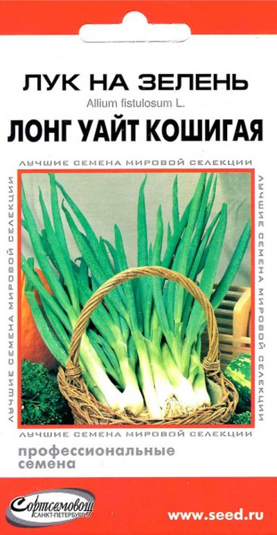 

лук на зелень лонг уайт кошигая семена, лук на зелень лонг уайт кошигая семена купить