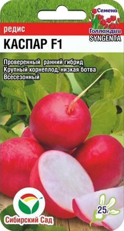 

редис каспар f1 семена, редис каспар f1 семена купить