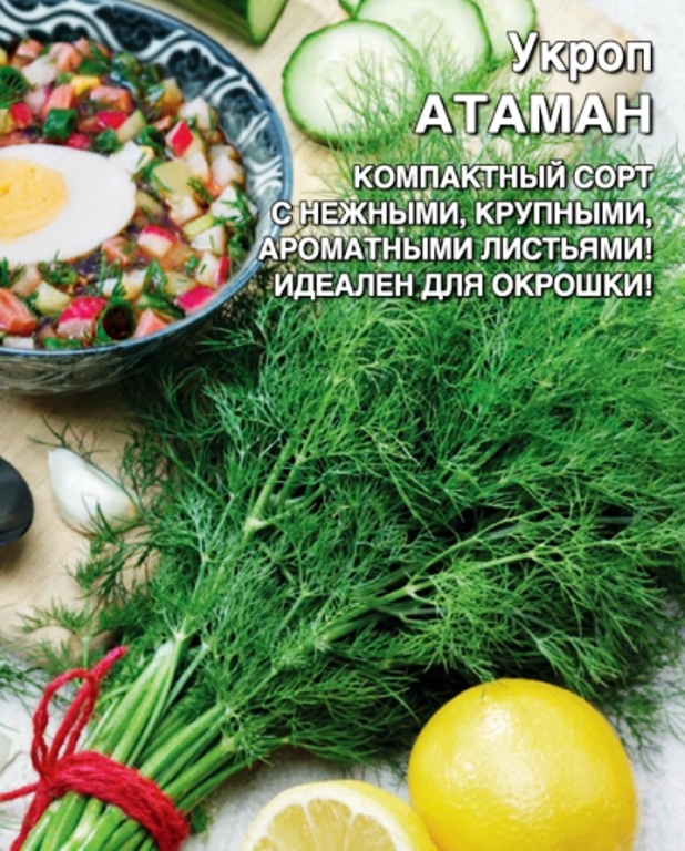 

укроп атаман семена, укроп атаман семена купить