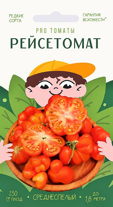 

томат рейсетомат семена, томат рейсетомат семена купить