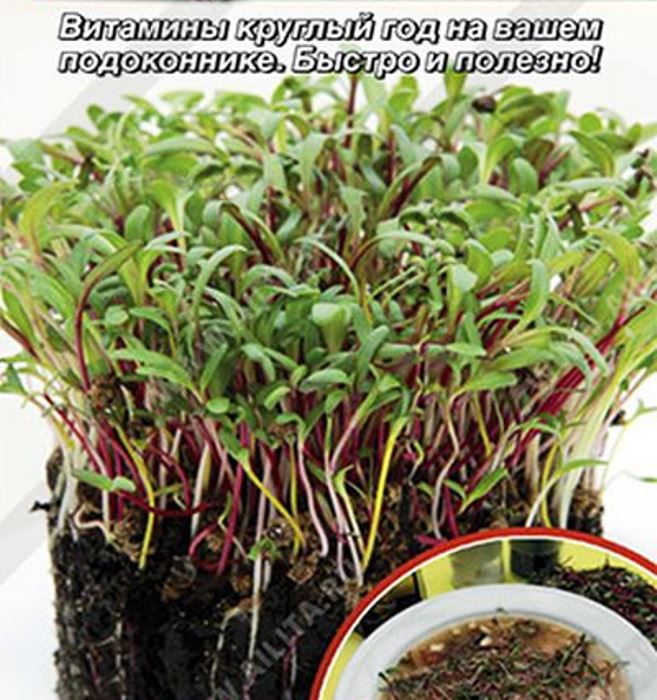 Микрозелень Мангольд микс