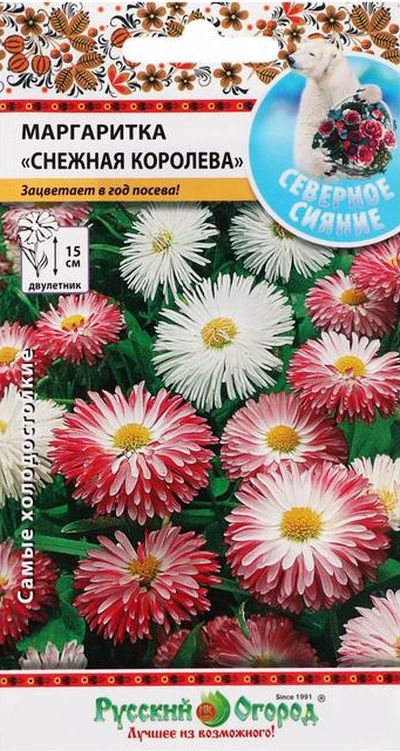 Маргаритка Снежная королева, смесь
