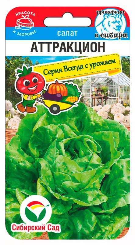 

салат аттракцион семена, салат аттракцион семена купить