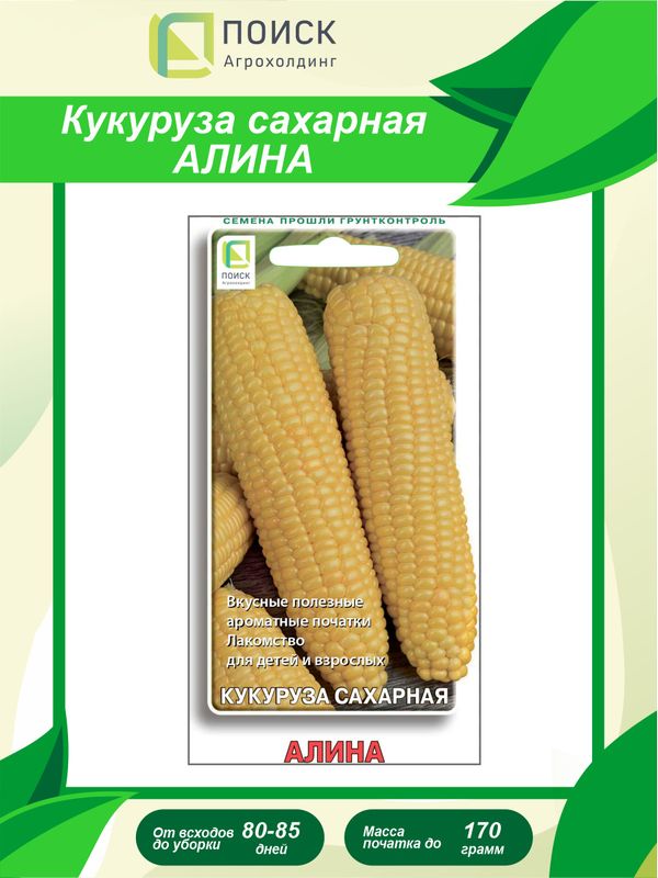 

кукуруза сахарная алина семена, кукуруза сахарная алина семена купить
