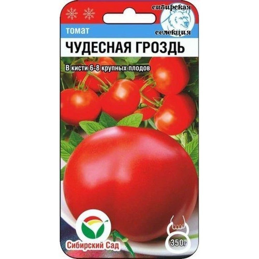 

томат чудесная гроздь семена, томат чудесная гроздь семена купить