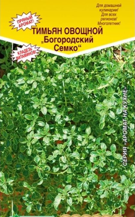 Тимьян овощной Богородский Семко - купить с доставкой