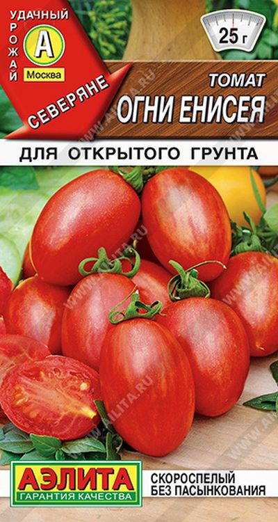 

томат огни енисея семена, томат огни енисея семена купить