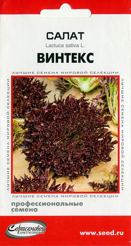 

салат листовой винтекс семена, салат листовой винтекс семена купить