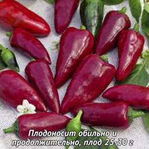 

перец сладкий гномик семена, перец сладкий гномик семена купить