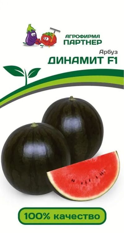

арбуз динамит f1 семена, арбуз динамит f1 семена купить