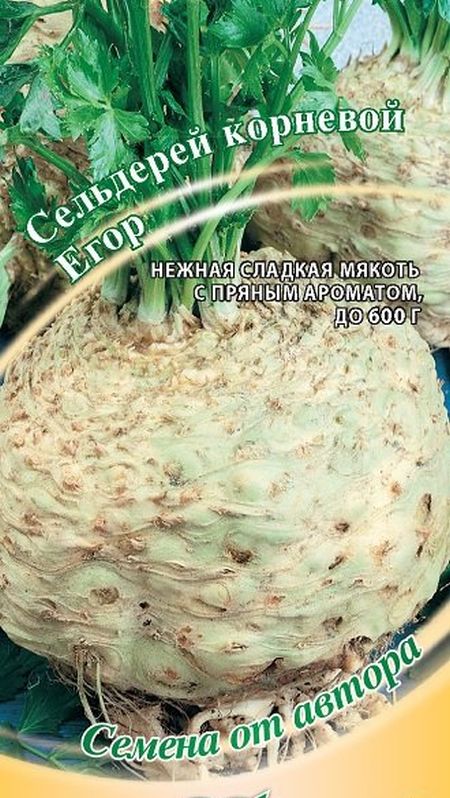 Сельдерей корневой Егор*