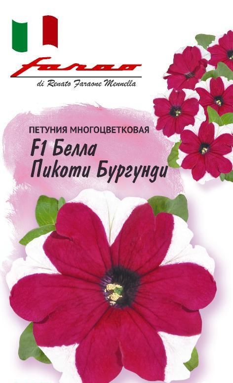 

петуния белла пикоти бургунди f1,серия фарао семена, петуния белла пикоти бургунди f1,серия фарао семена купить
