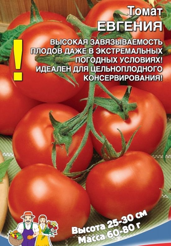 Томат Семеновна Отзывы Фото Урожайность