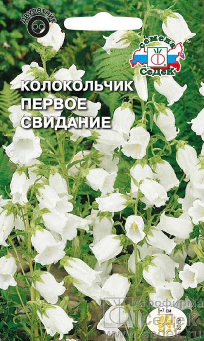 Колокольчик Первое свидание