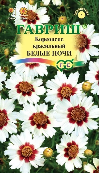 Кореопсис Белые ночи