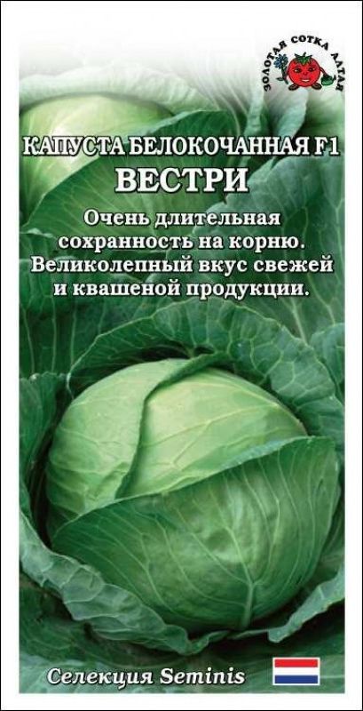 

капуста б/к вестри f1 семена, капуста б/к вестри f1 семена купить
