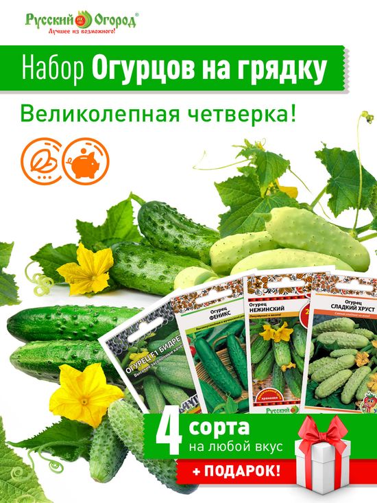 

набор огурцов на грядку! семена, набор огурцов на грядку! семена купить