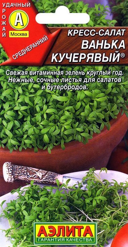 

кресс-салат ванька - кучерявый® семена, кресс-салат ванька - кучерявый® семена купить