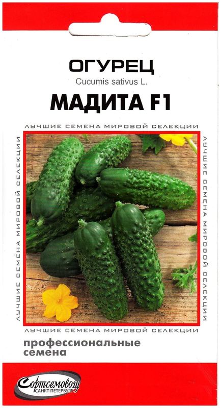 

огурец мадита f1 семена, огурец мадита f1 семена купить
