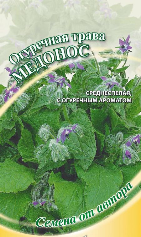 Бораго Огуречная трава Медонос