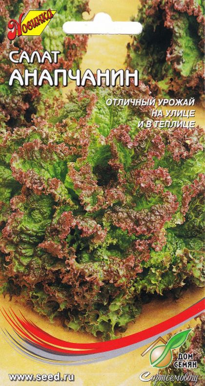 

салат полукочанный анапчанин семена, салат полукочанный анапчанин семена купить