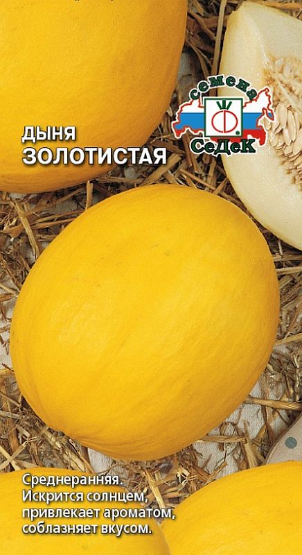 

дыня золотистая семена, дыня золотистая семена купить