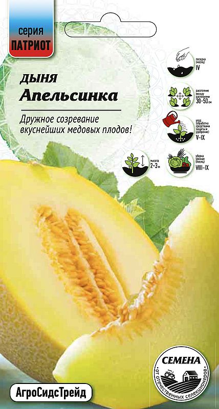 

дыня апельсинка семена, дыня апельсинка семена купить