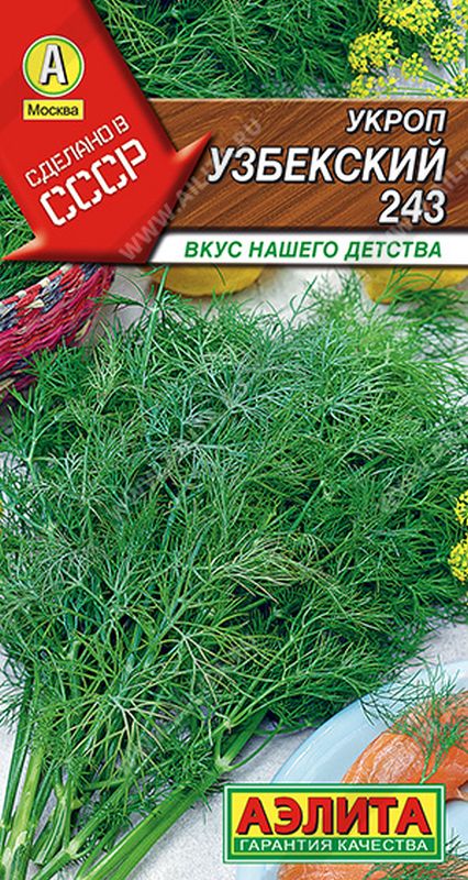 

укроп узбекский 243 семена, укроп узбекский 243 семена купить